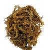 Lucky Reptile Sphagnum Moss, Terrarium Moss, 500 g