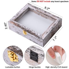 IHEIPYE Insect Display Case Wall Mount Bug Display Case with Anti Fade UV Protection Acrylic Top Eva Foam Pinning Board and 3 Size Pins Shadow Box for Bug Butterfly Insect Specimen Collection Display
