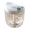 Kakusei HHC-02 Chopper, Full Water Capacity 31.3 fl oz (1,050