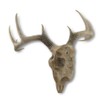 Things2Die4 Lifelike 10-Point Buck Deer Skull Replica - Exquisite Wall