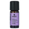 Organic Lavender Essential Oil 10ml