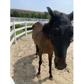 Horse Fly Mask,Fly Masks for Horses with Ears, Comfortable&Elasticity Lycra Upgrade Fly Mask with UV Protection (Black)