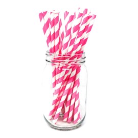 Picture Perfect Party Paper Drinking Straws [Pack of 25] Striped Birthday Parties, Weddings, Christmas Decorations, Valentines Tableware (Hot Pink Stripes)