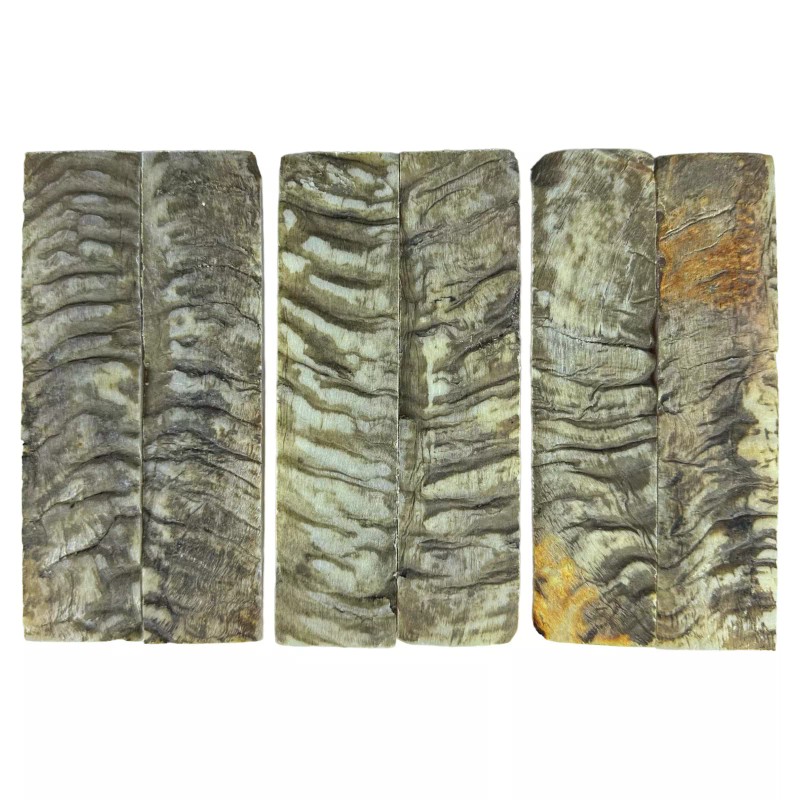Knife Ram Horn 6" Knife Handle Making Blanks Natural material