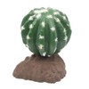 Lucky Reptile Ball Cactus