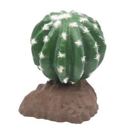 Lucky Reptile Ball Cactus