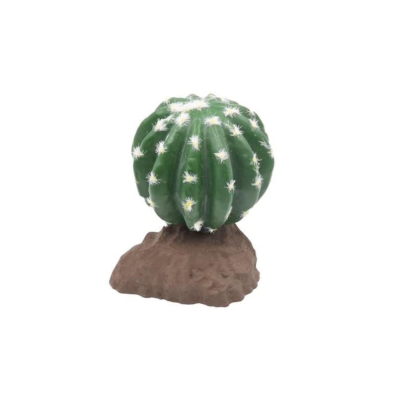 Lucky Reptile Ball Cactus