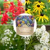 Texas Oklahoma Wildflower Seeds Mixture - Bulk 1 Ounce Packet