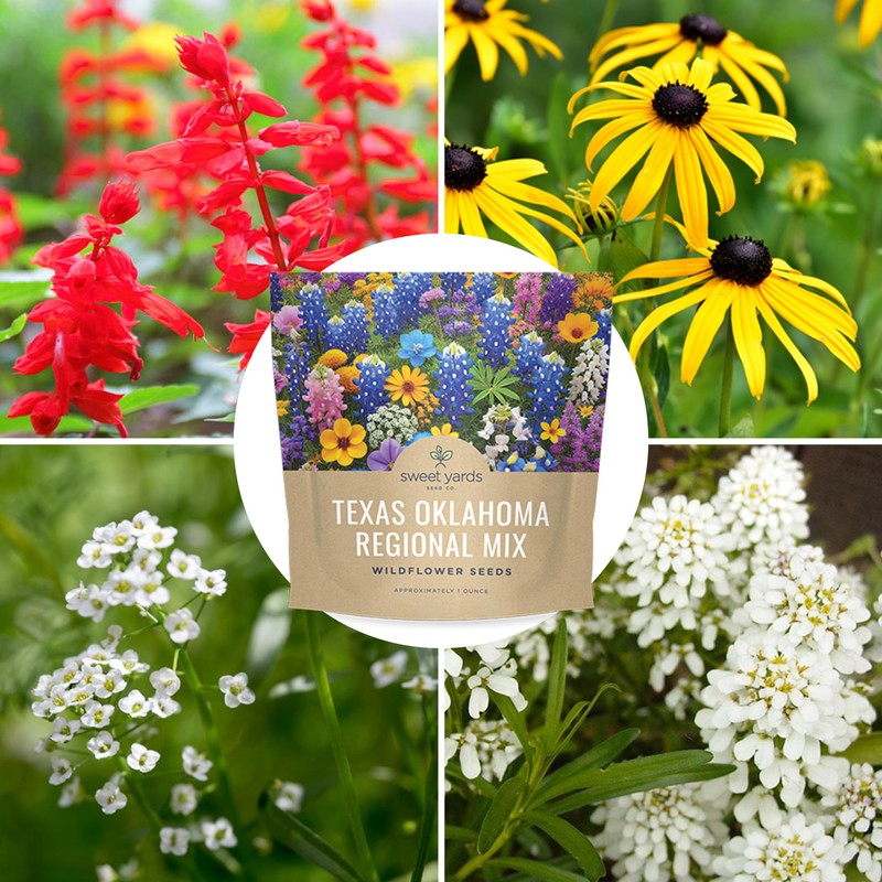 Texas Oklahoma Wildflower Seeds Mixture - Bulk 1 Ounce Packet