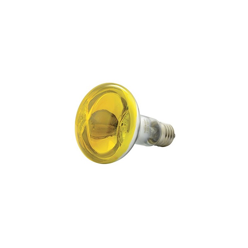 QTX R80 Coloured Reflector Lamps | YELLOW