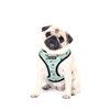 QTpawz Pug Vest Harness and Matching Leash, Breathable Mesh Interior