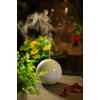 SPT SA-028 USB Globe Ultrasonic Aroma Diffuser/Humidifier