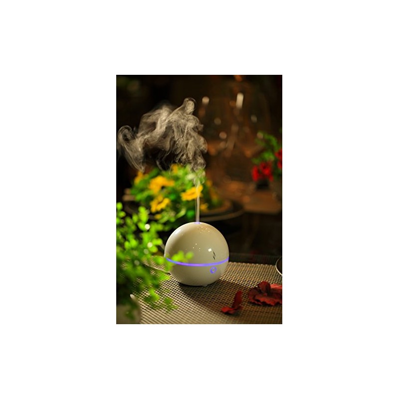 SPT SA-028 USB Globe Ultrasonic Aroma Diffuser/Humidifier