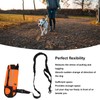 Hands Free Dog Leash Shock Absorption Reflective Dog Running Leash