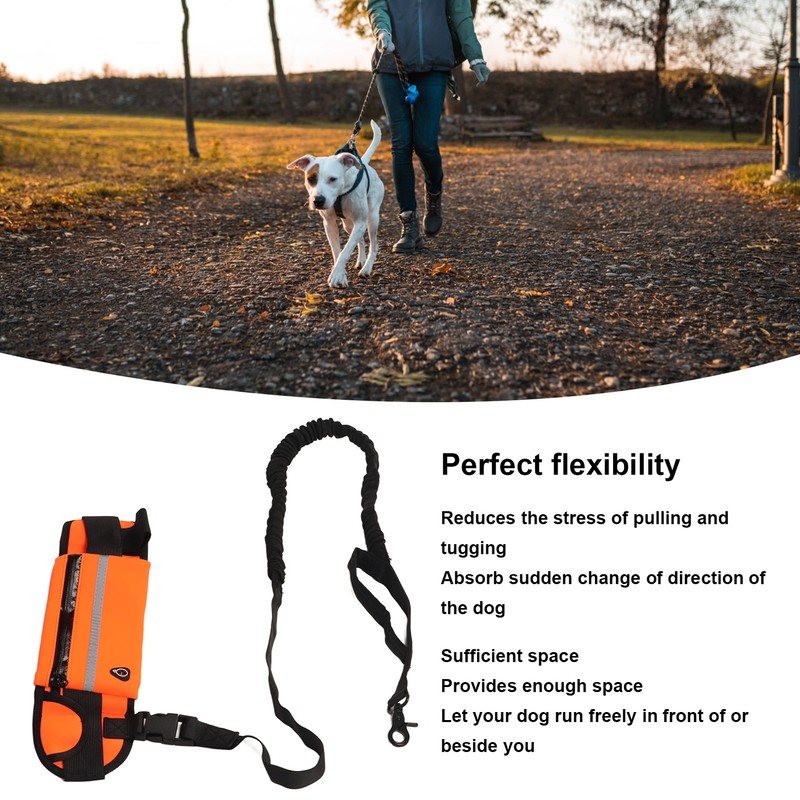 Hands Free Dog Leash Shock Absorption Reflective Dog Running Leash