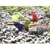 Take's ANTAIKASUWA TG Sea Bream Lava Lure (2.8 oz (80