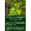 飲み会 サプリ 個包装 20包 ミラクルアンフィス＋11 お酒 アルコール センシンレン 肝臓エキス オルニチン