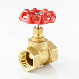 BE-TOOL Shut-Off Valve DN25 Female to Female Valve Brass Two Way Gate Valve for Water Gas Steam Oil (Pack of 1)