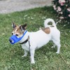 YAODHAOD Dog Muzzle, Nylon Mesh, Breathable and Comfortable, Quick-Fit Dog