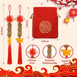 12 Pcs Chinese New Year Dragon Decorations Lunar New Year fengshui Coins 2024 Red Tassel Ornaments with Wealth Success Good Luck Hanging Decorations for Gifts Home Car Decor