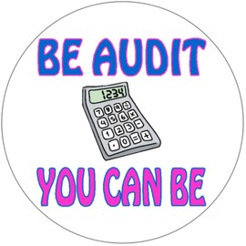 Kiwi Gifts Be Audit You Can Be - 100 Pack Circle Stickers 3" x 3" - Accountant Humor