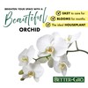 Better-Gro 19” Hanging Kokedama with Phalaenopsis Orchid – Indoor/Outdoor Planter-