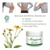 Pomada De Arnica De Trikaya Herbolaria Sin Aroma