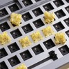 Akko V3 Creamy Yellow Pro Keyboard Switch with Dustproof Stem
