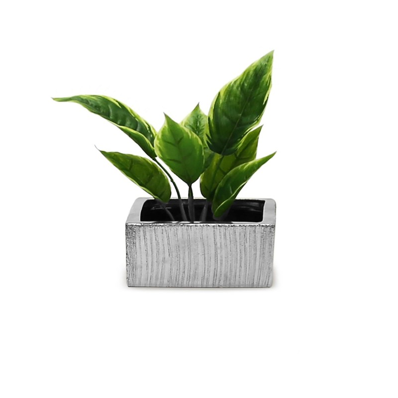 WGV Silver Scratched Square Ceramic Vase, Width 8", Height 4",