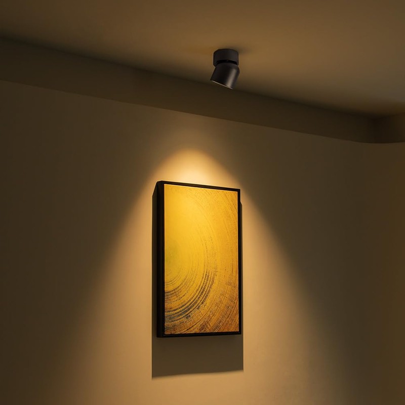 Aisilan LED Indoor Black Ceiling Spot Light 9W Surface Mounted