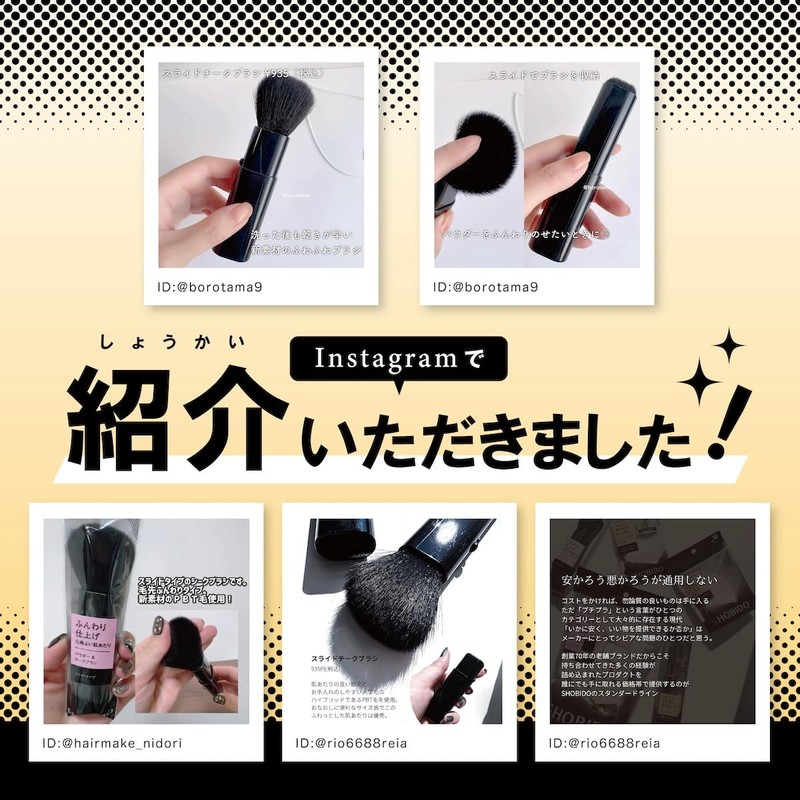 Provence Sliding Cheek Brush with Cap BK