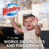 Windex Glass Cleaning Wipes, Pre-Moistened Glass and Surface Wipes to