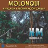 Shampoo Molonqui Hm 240ml Anticaída