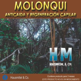 Shampoo Molonqui Hm 240ml Anticaída