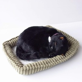 Ninandokino Perfect Pet (Small Size) Black Cat Plush Cat Cat Cat Realistic Realistic Miscellaneous Goods Animals Animals Healing Moving Present Gift Celebration Cute Cat Plush