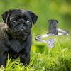 Black Pug Ring 925 Sterling Silver Pug Adjustable Ring Dog