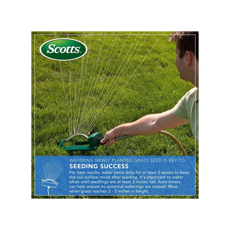 Patchmaster Lawn Repair Mix, Tall Fescue, 4.75-Lbs.