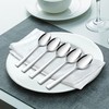 Onader Tea Spoons, 12 Pieces, Stainless Steel Coffee Spoons, Tablespoons