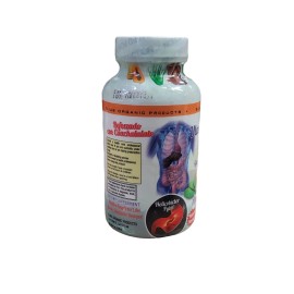 ELIAS PRODUCTS ULCERAS GASTRICAS Y HERIDAS NATURAL 60 CAPSULAS GASTRIC ULCERS 500MG