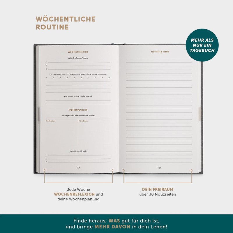The PUR 6-Minute Diary (successor version) - Success Journal, Gratitude