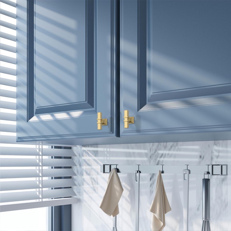 Amerdeco 10 Pack Brushed Gold Cabinet Knobs 1.46 Inch(37mm) Single