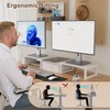 LAND·VOI Heavy Duty Dual Monitor Stand, Holds 2 Screens Up