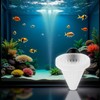1 Pc White Cone Shape Aquarium Red Worm Fish Feeder