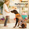PetWarm Dog Recovery Suit, Surgical Suit for Dogs Female Spay