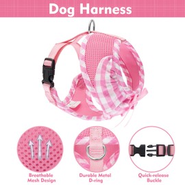 EXPAWLORER Cute Dog Harness and Leash Set - Pink Girl Dog Harness Checkered Step-in Design, Easy Adjustable No-Choke Lightweight Breathable Vest for Puppy Small Dogs Cats Outdoor Walking, X-Small