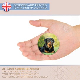 Destination Vinyl ltd Magnet for Refrigerator, Fridge - Rottweiler Dog Puppy Cute for Office, Cabinet and Whiteboard, Magnetic Stickers, 2685