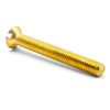 Hippo Hardware M4 (4mm X 30mm) Solid Brass Slotted Countersunk