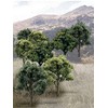 Woodland Scenics TR1572 Mix Green Decid Trees 3-5 (14) WOOU9572