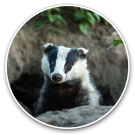 2 x Heart Stickers 10 cm - Badger Sett Wildlife Animal Fun Decals for Laptops,Tablets,Luggage,Scrap Booking,Fridges #15810