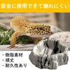 SAKIRABITO Reptile Bait Container Reptilock Reptile Food Dish Amphibian Water